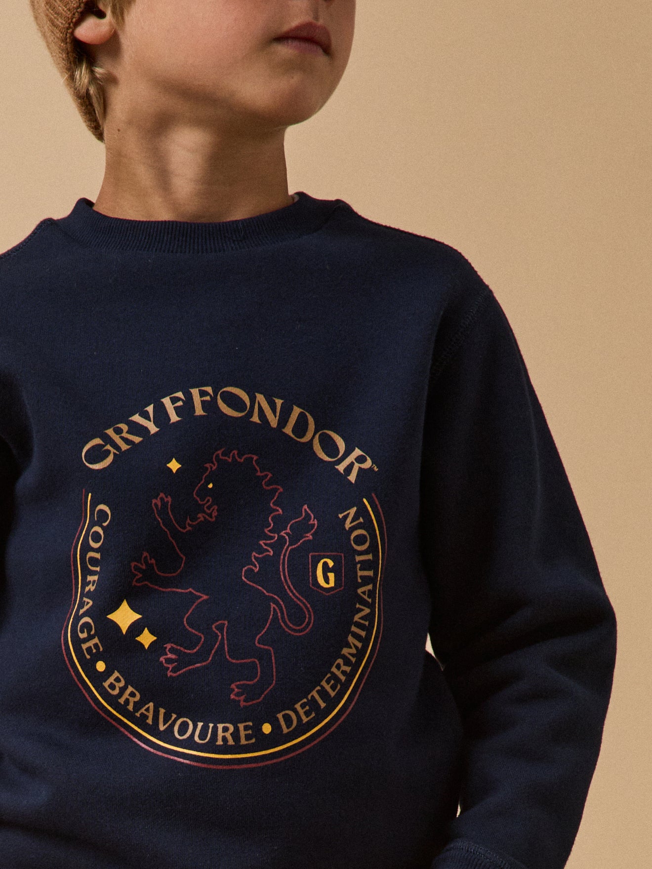 Kinder-Sweatshirt aus der Harry Potter Kollektion