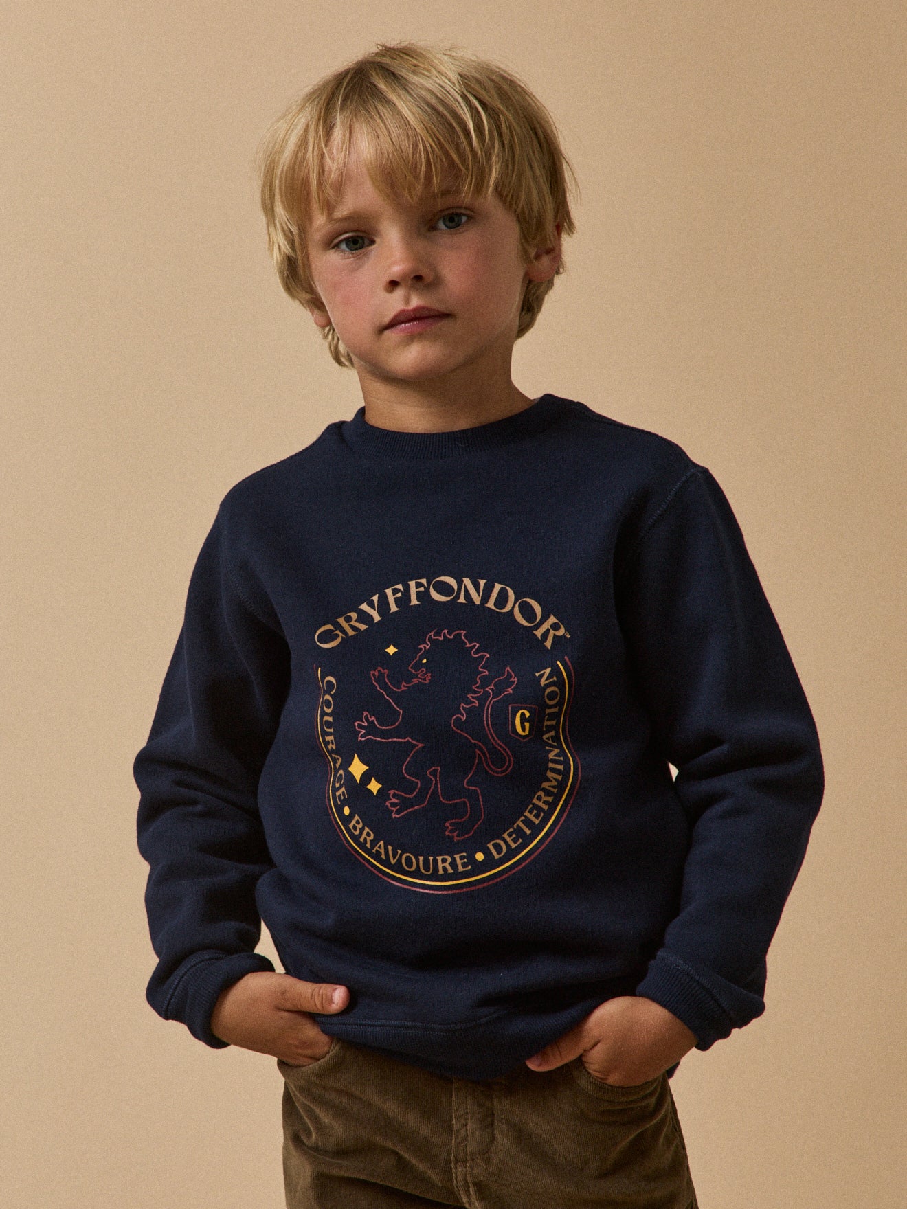 Kinder-Sweatshirt aus der Harry Potter Kollektion