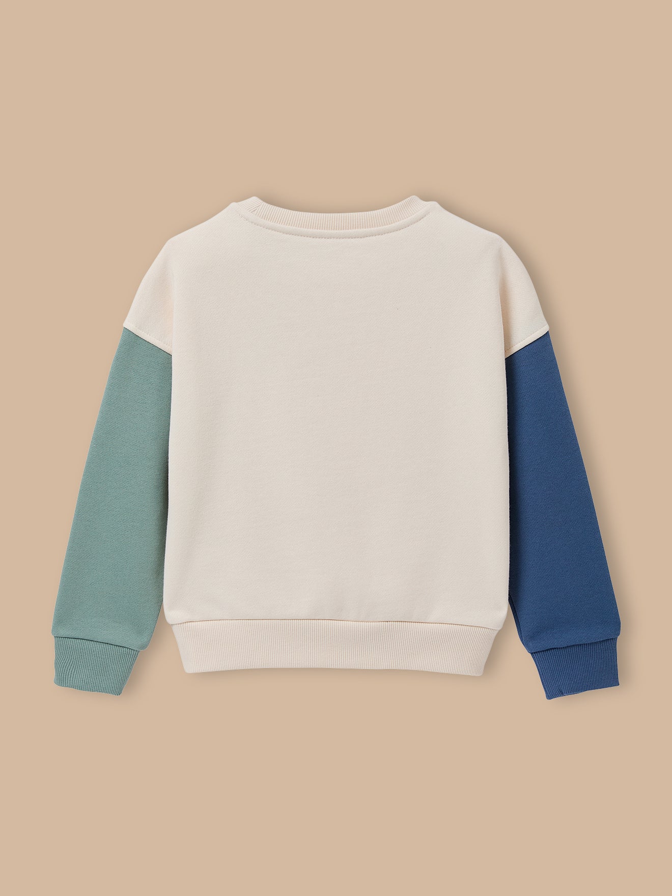 Jungen-Sweatshirt im « Colorblock »-Look