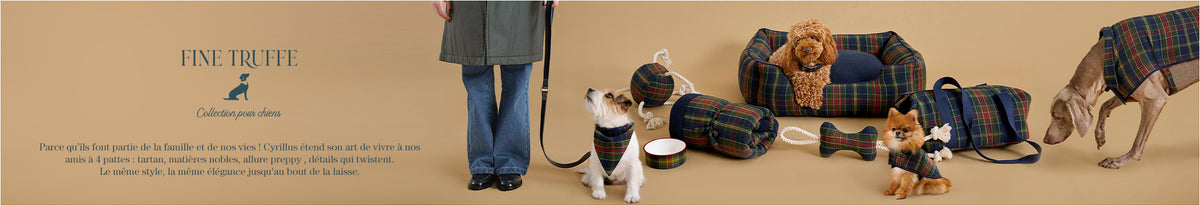 Banniere_PET_FR