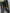 Damen-Pumps aus Leder
