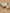 Sneakers Authentique Mid Pataugas aus Bio-Baumwolle